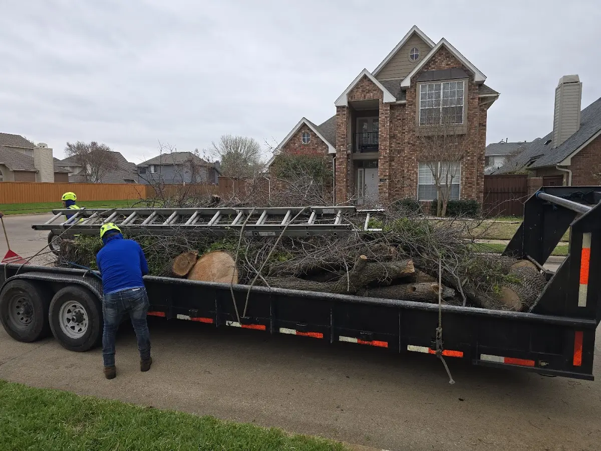 Expert Lot Clearing with proper safety equipment in Woodford